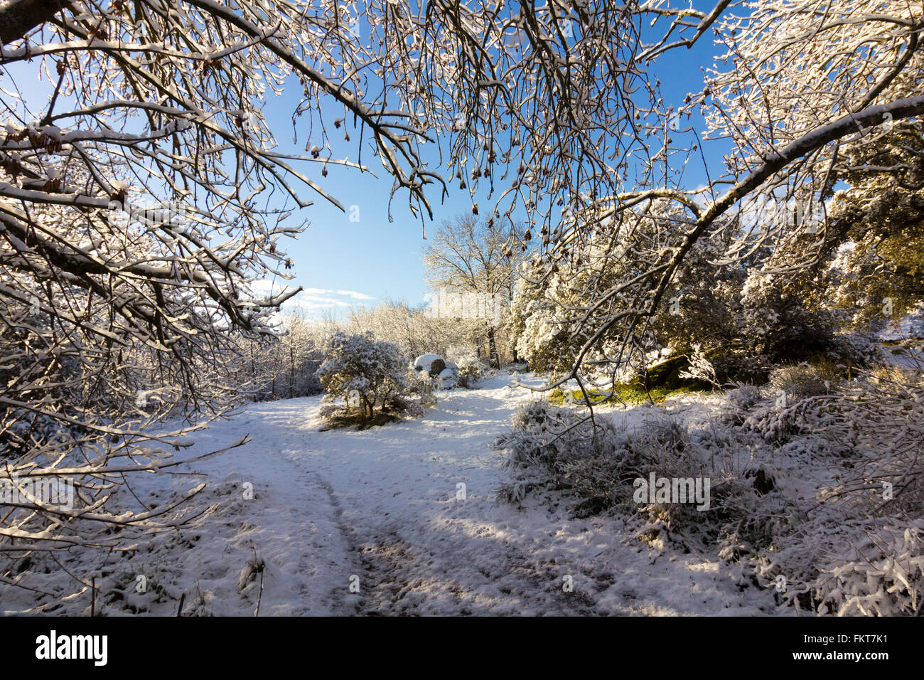 Famose case sospese di Cuenca in Spagna Foto Stock