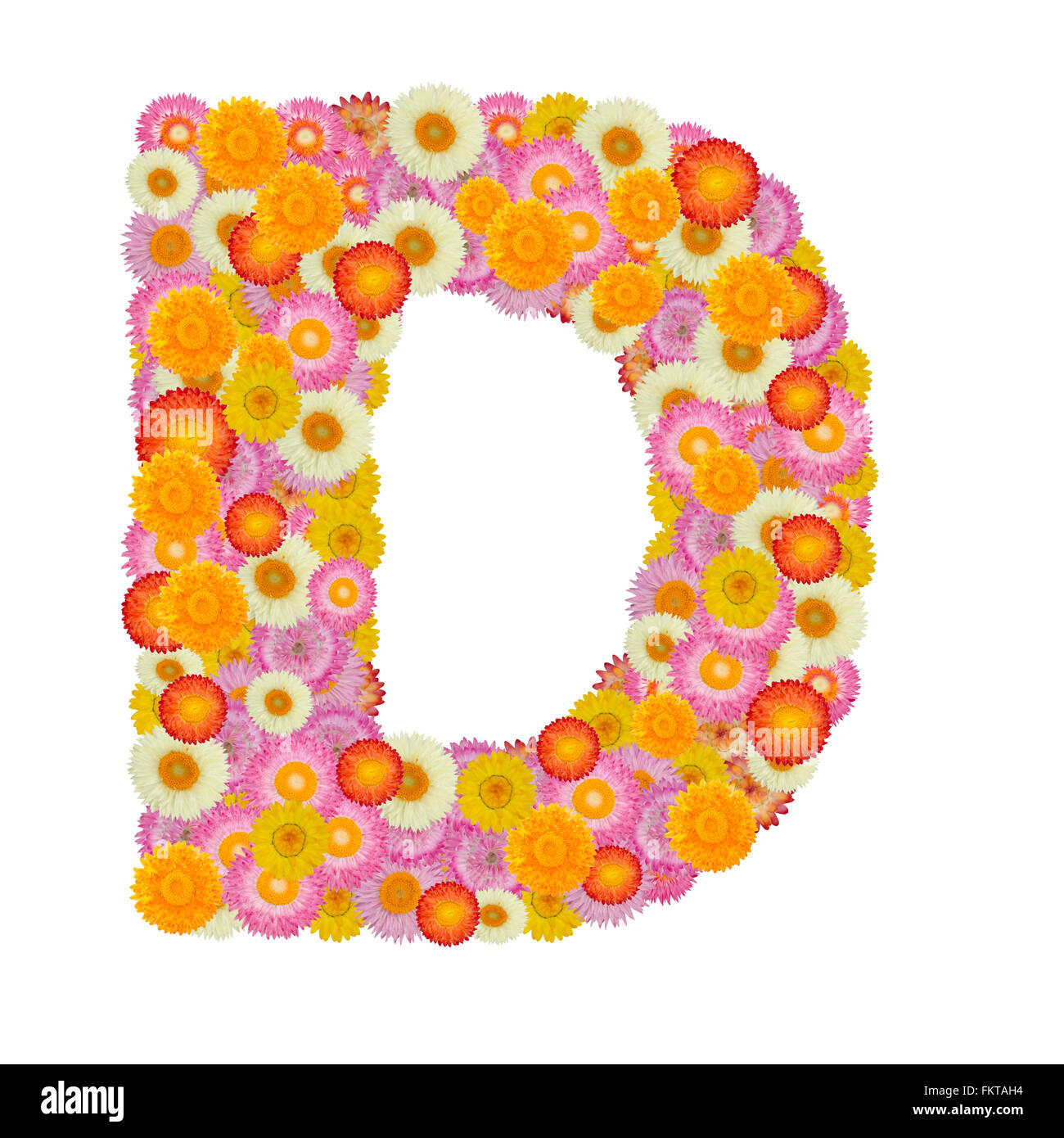 Lettera d alfabeto con fiore di paglia isolati su sfondo bianco Foto Stock