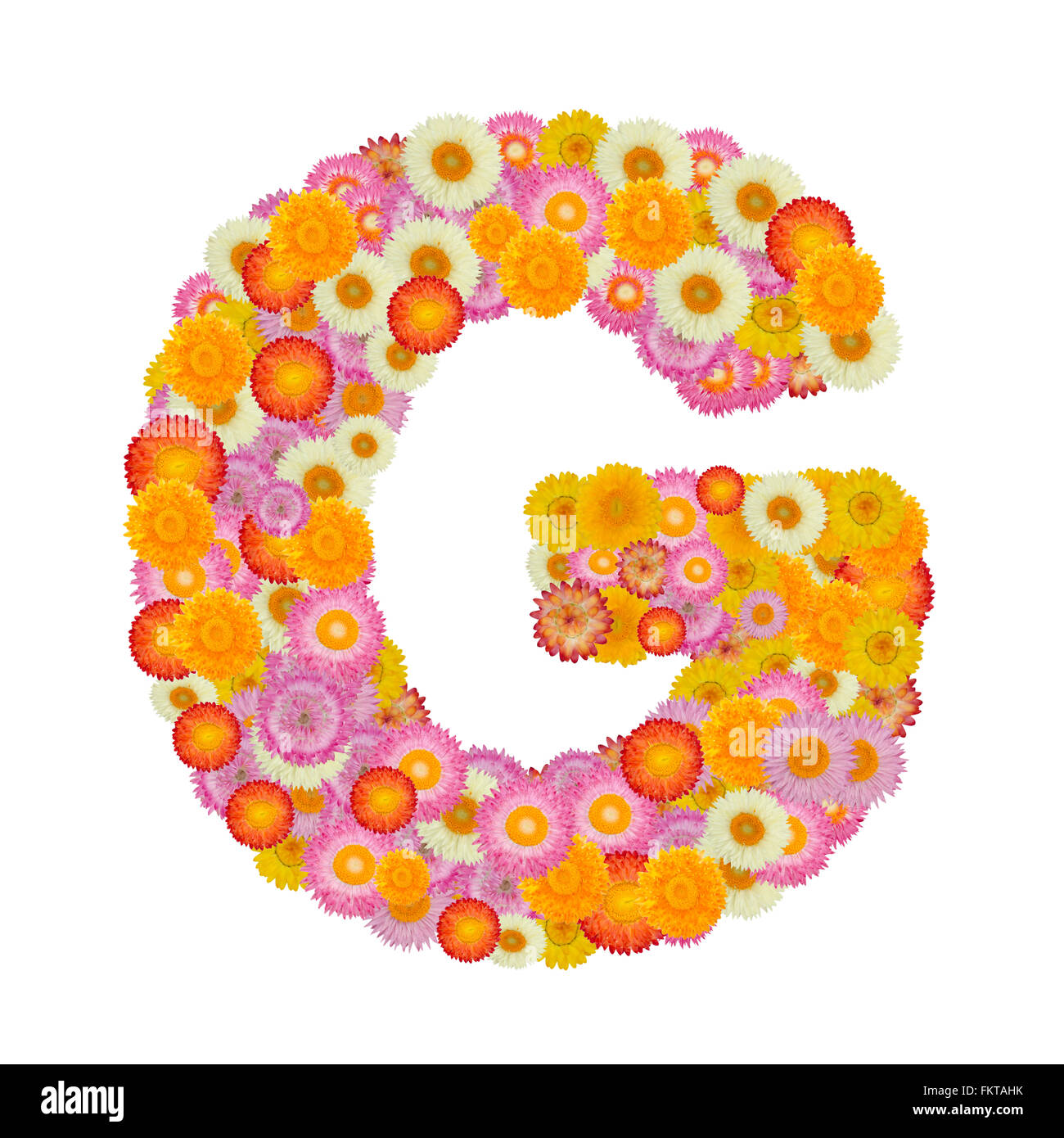 Lettera G alfabeto con fiore di paglia isolati su sfondo bianco Foto Stock