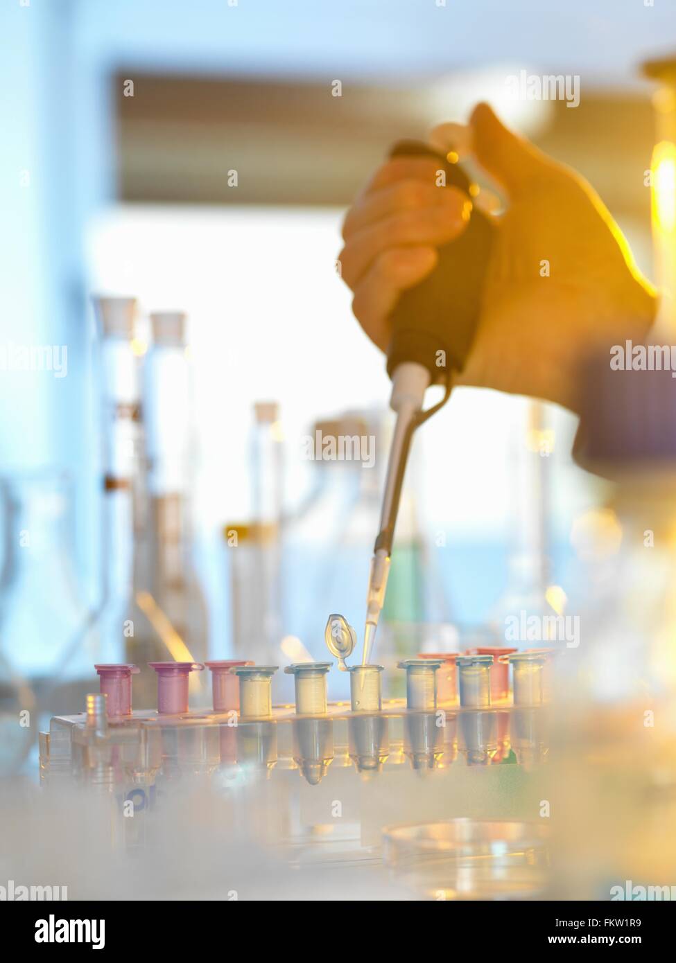 Scienziato il pipettaggio di campione nella fiala eppendorf durante l'esperimento in laboratorio Foto Stock