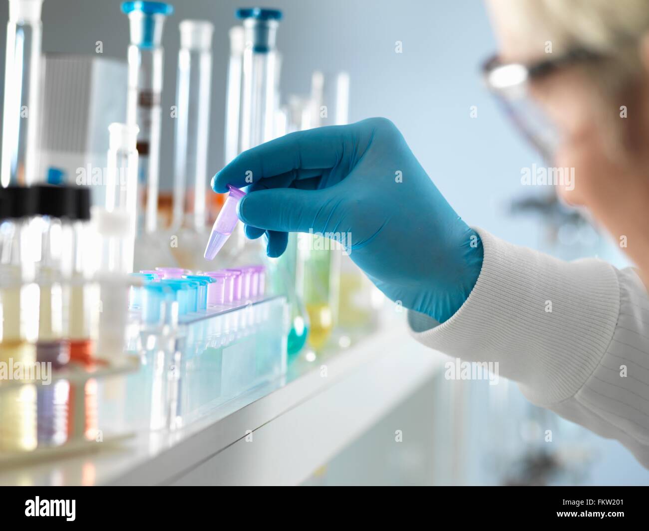 Scienziato test campione di DNA di umana in laboratorio Foto Stock