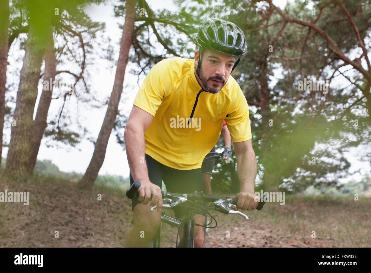 Maschio di mountain biker in foresta Foto Stock
