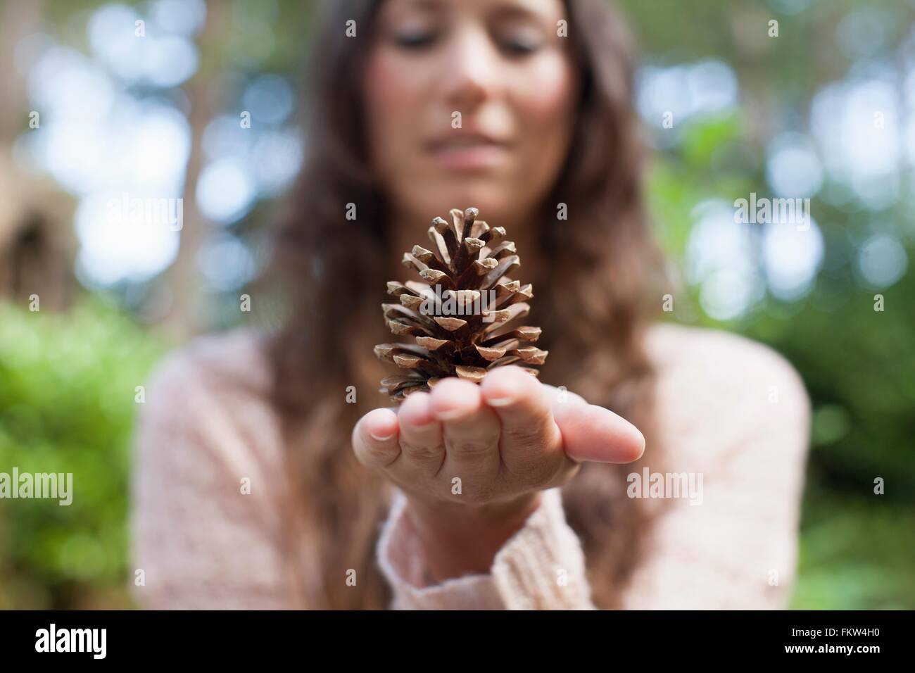 Messa a fuoco poco profonda della donna tenendo cono di pino a portata di mano Foto Stock