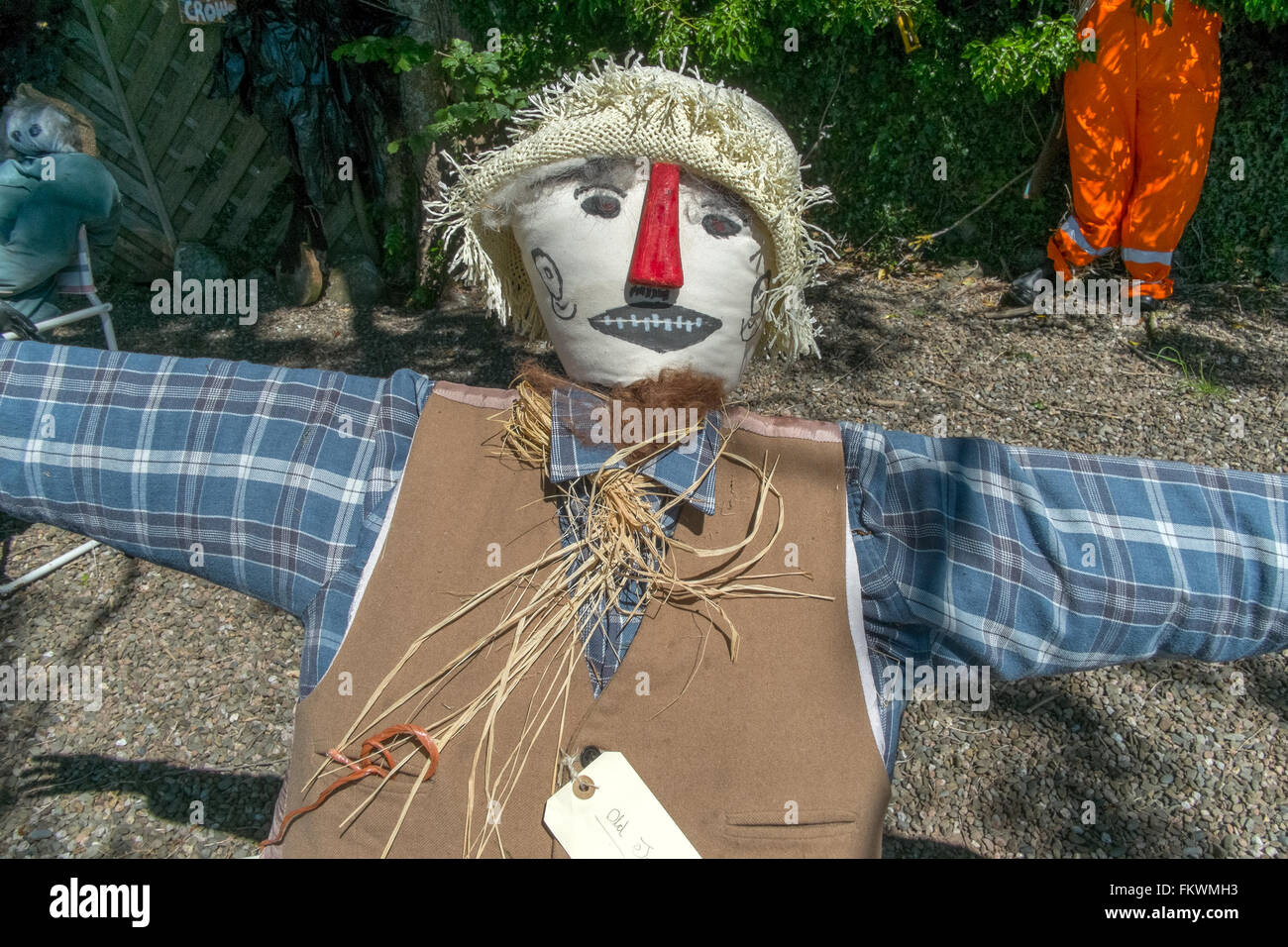 Faccia ravvicinata dello Scarecrow Foto Stock