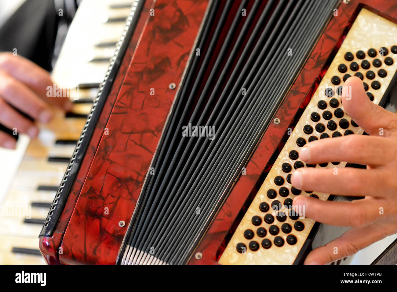 Suona la fisarmonica immagini e fotografie stock ad alta risoluzione