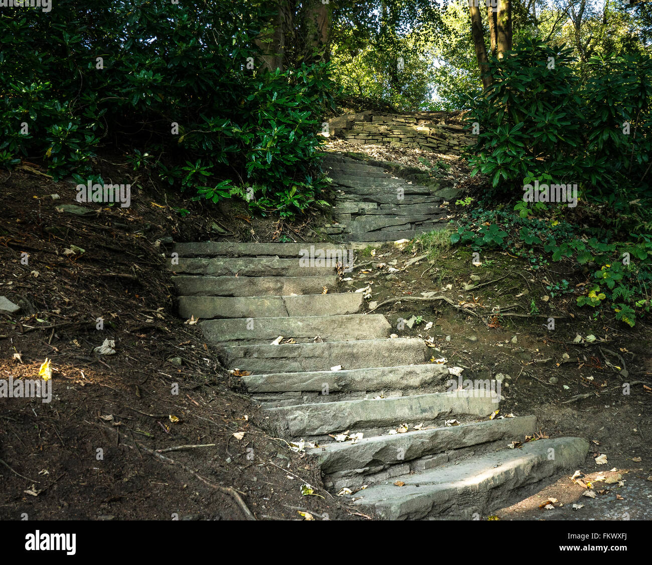 La scalinata in pietra che conduce verso l'alto per sconosciuto, ma all'interno di un bosco di impostazione Foto Stock
