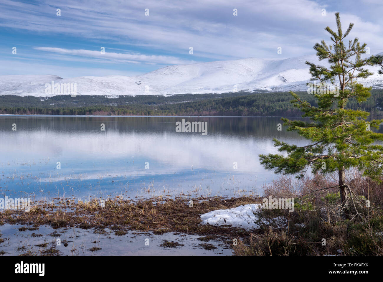 Loch Morlich, Glenmore, Scozia, marzo 2016. Foto Stock