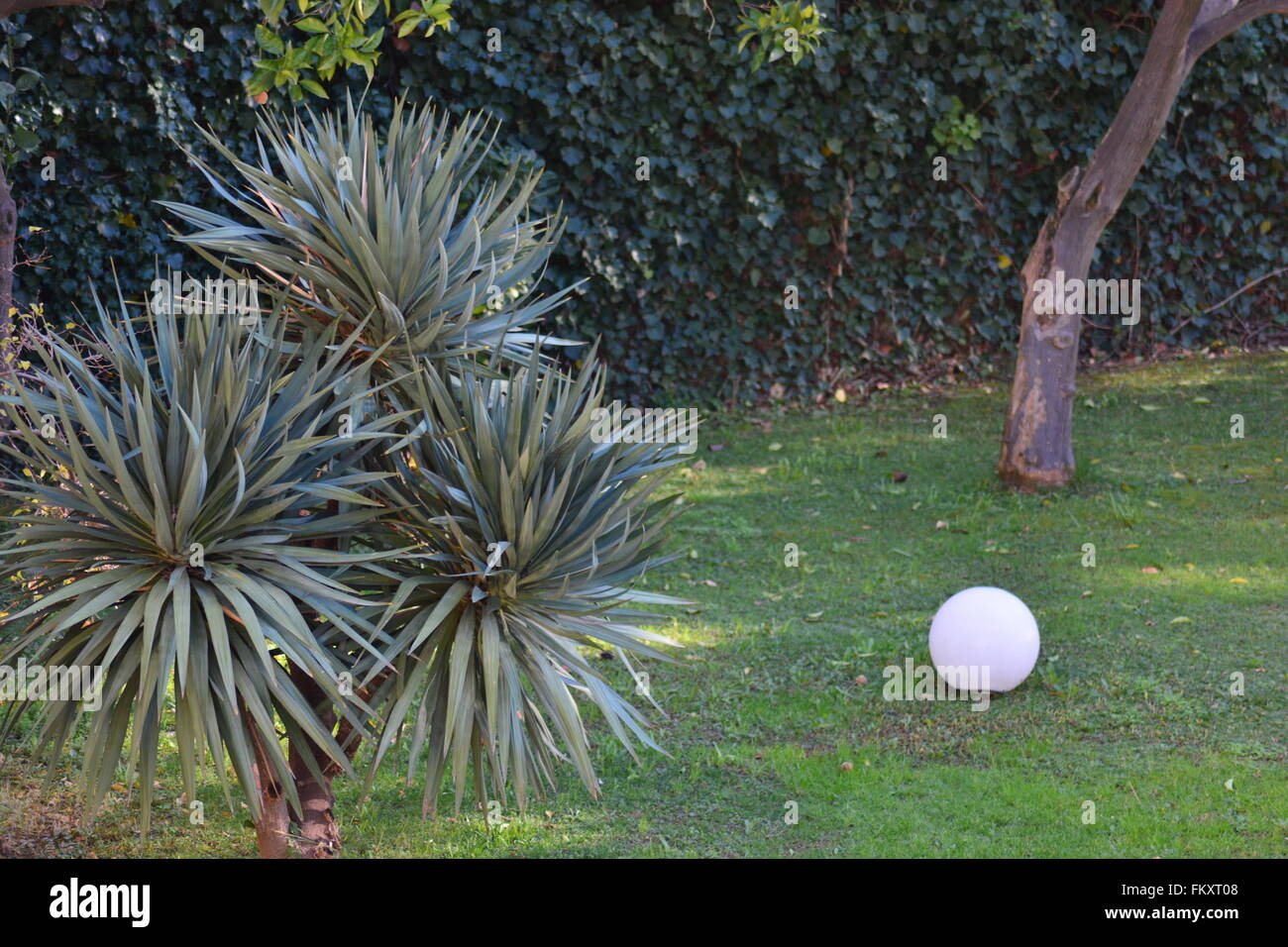 Una sfera di luce in un giardino Foto Stock