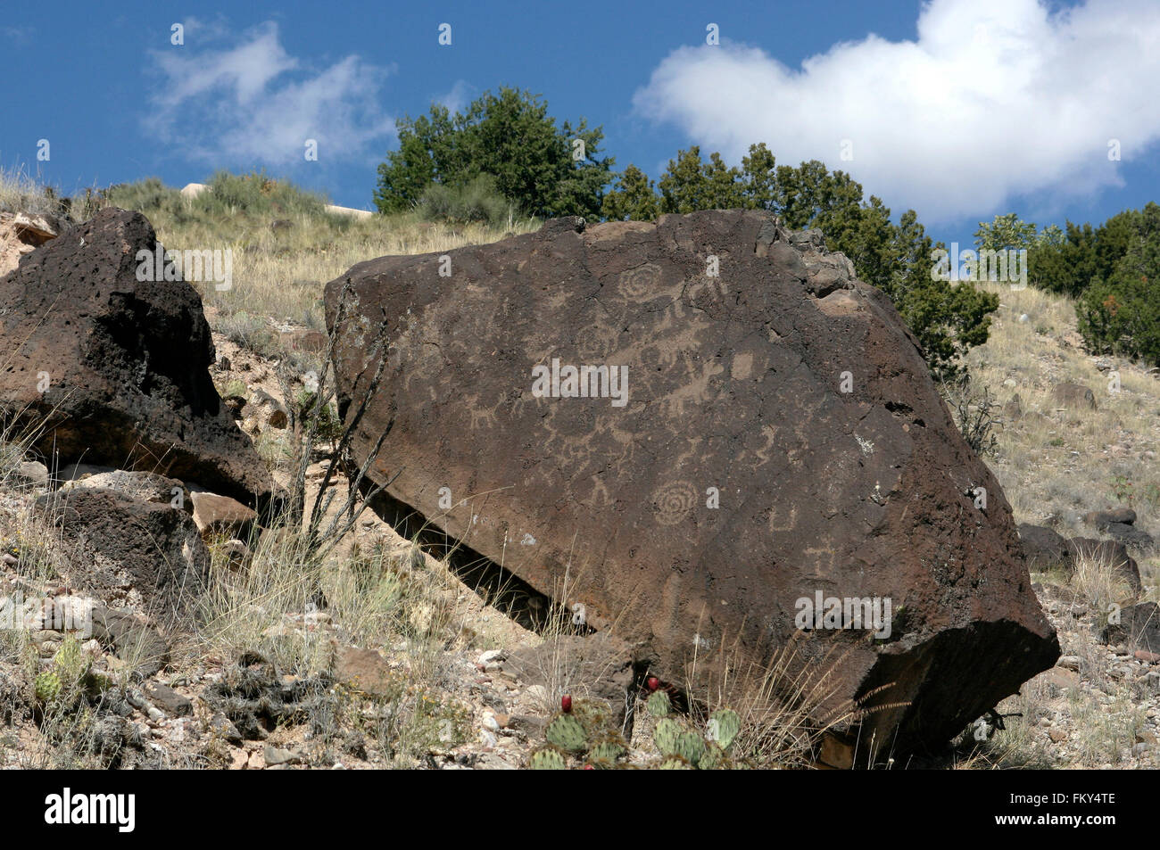 Incisioni rupestri su roccia, Nuovo Messico Foto Stock