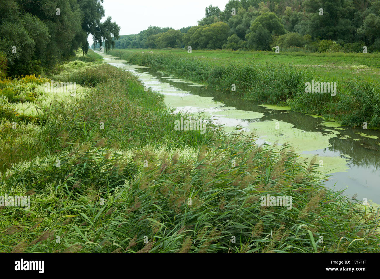 Österreich, Burgenland, Andau, Einser-Kanal an der Brücke von Andau Foto Stock