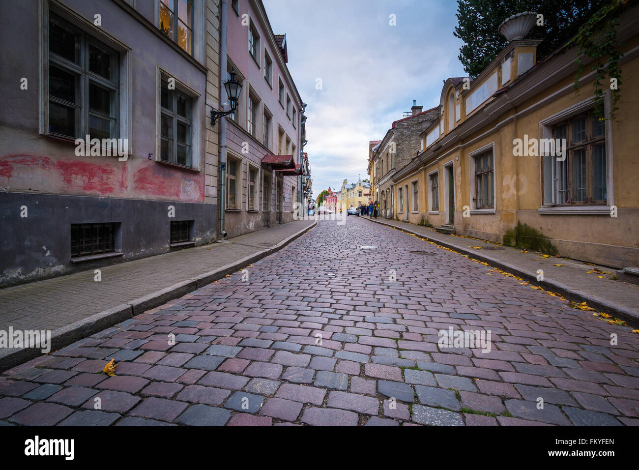 Strada di ciottoli e architettura medievale nella Città Vecchia di Tallinn, Estonia. Foto Stock