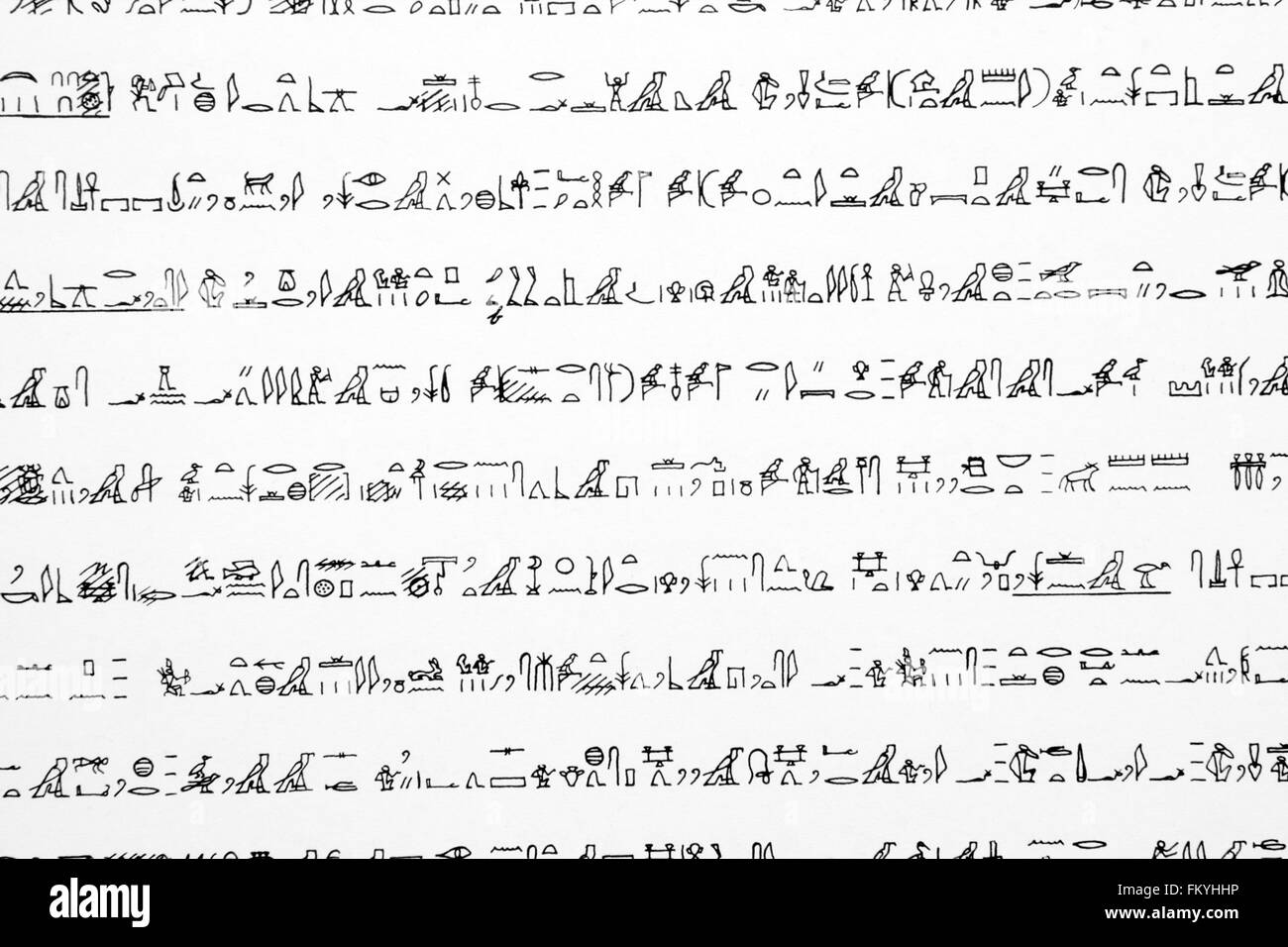Dettaglio egiziano di testo geroglifico Foto Stock