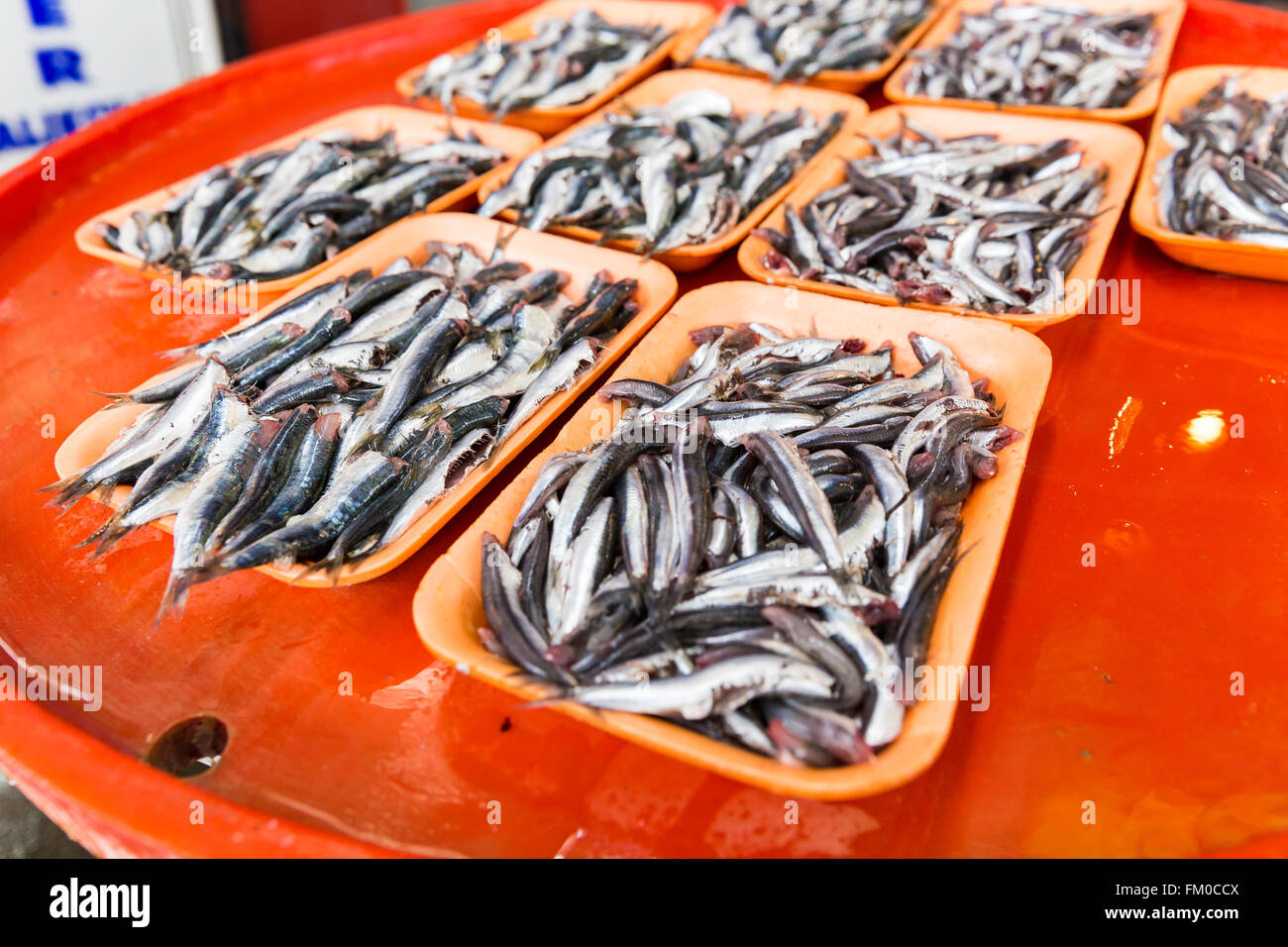 Gruppo di sardine in un colorato banco per la vendita in piatti a base di frutti di mare freschi del mercato. Fresche di pesci di mare in un bagno turco di mercato del pesce in scena. Foto Stock