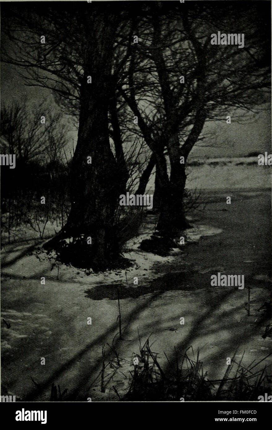 L'edizione 1922 dell'American Annual of Photography presenta progressi nella tecnologia fotografica e opere notevoli dell'epoca. Foto Stock