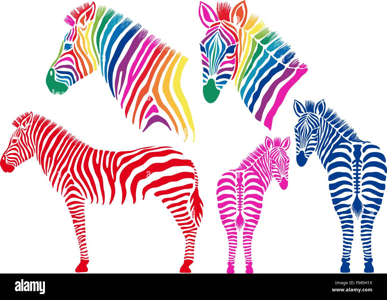 Colorate silhouette di zebra, set di vettore di elementi di design Illustrazione Vettoriale