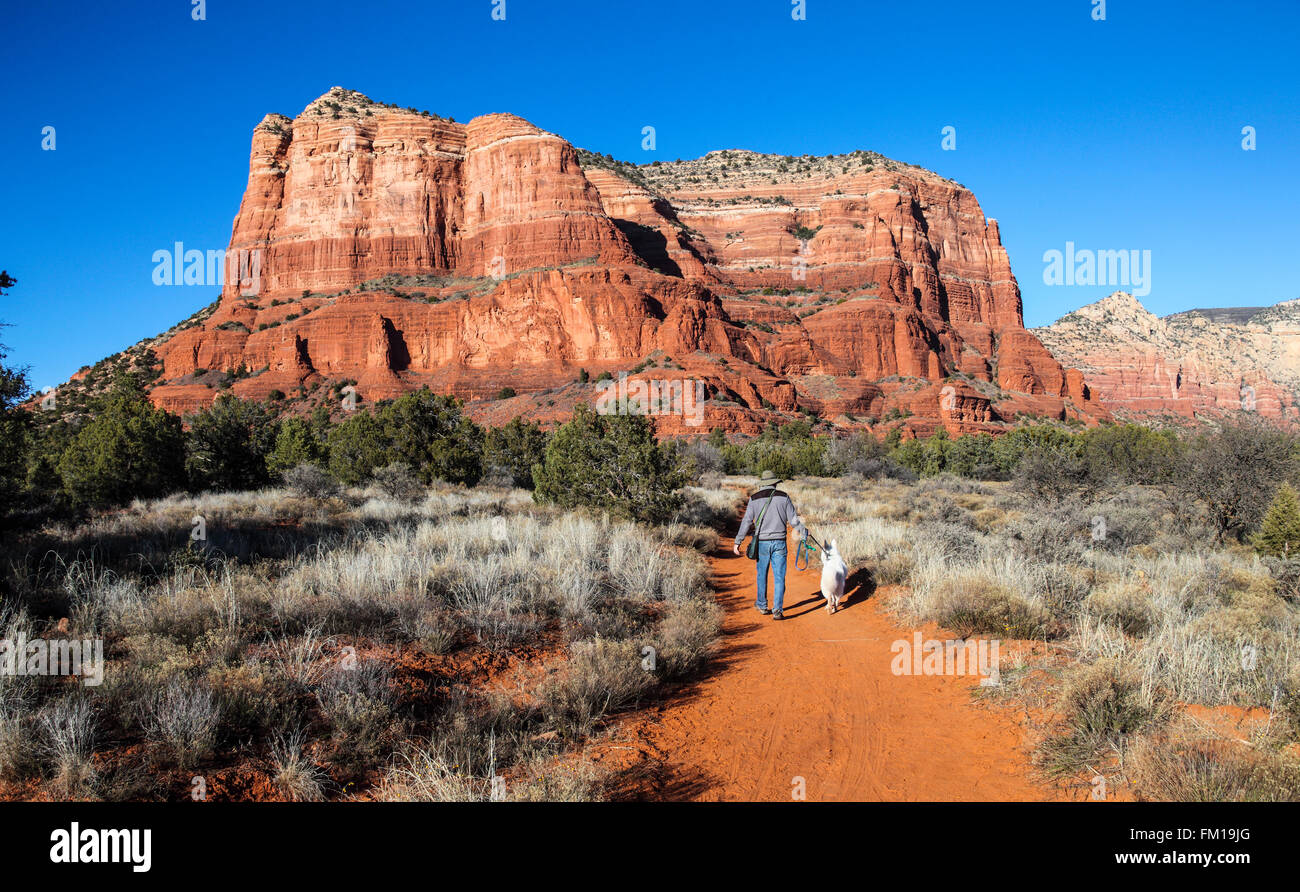 Escursionista e cane a camminare verso la Courthouse Butte al tramonto Foto Stock