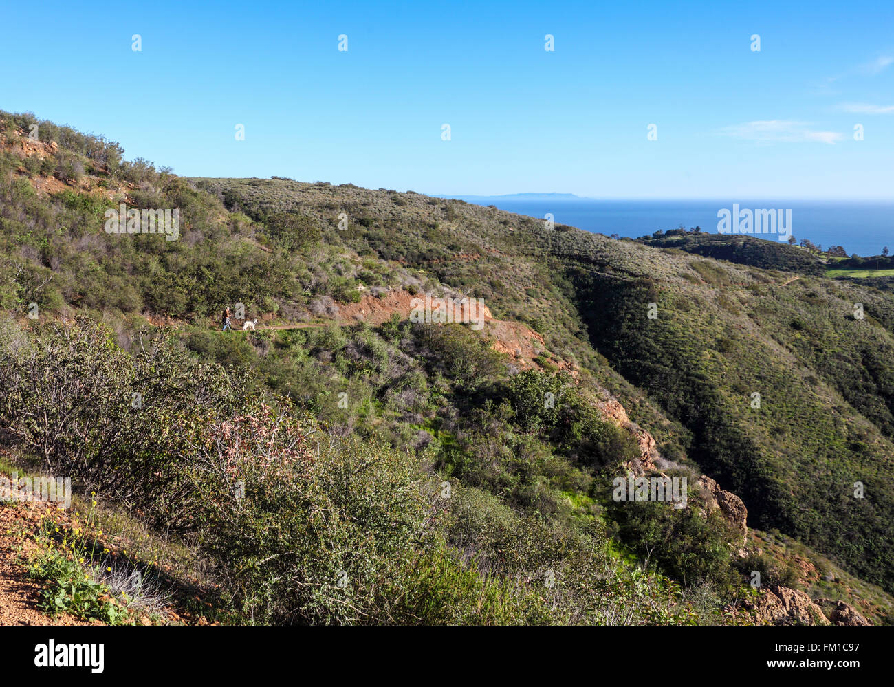 Escursionista e cane esplorare trail a Solstice Canyon Park, con vista oceano a distanza Foto Stock