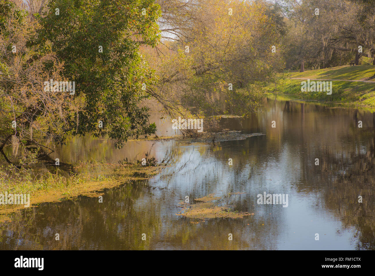 Ansa del fiume - Una scenic river in Florida con alberi raggiungendo oltre l'acqua Foto Stock