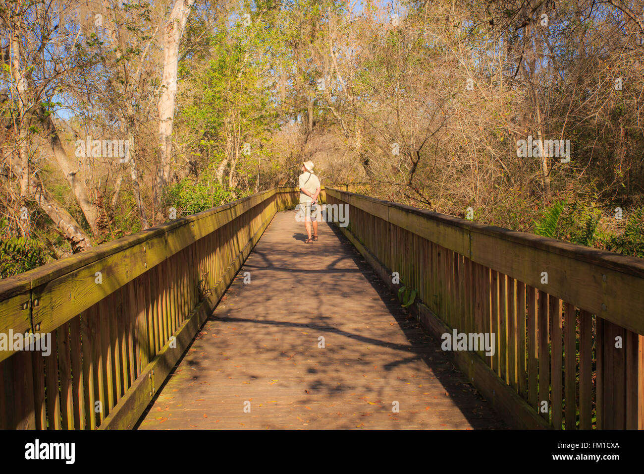 Passeggiata Lungomare - uomo a camminare sul marciapiede in Sawgrass Lake Park, San Pietroburgo, Florida, Stati Uniti d'America Foto Stock