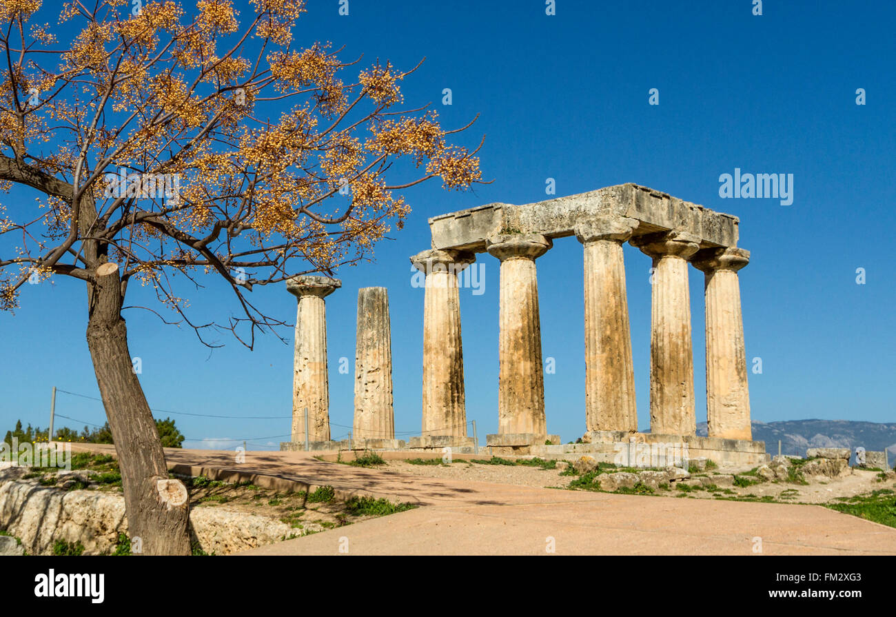 L'arcaico tempio di Apollo, in Corinto antico, Grecia. Foto Stock