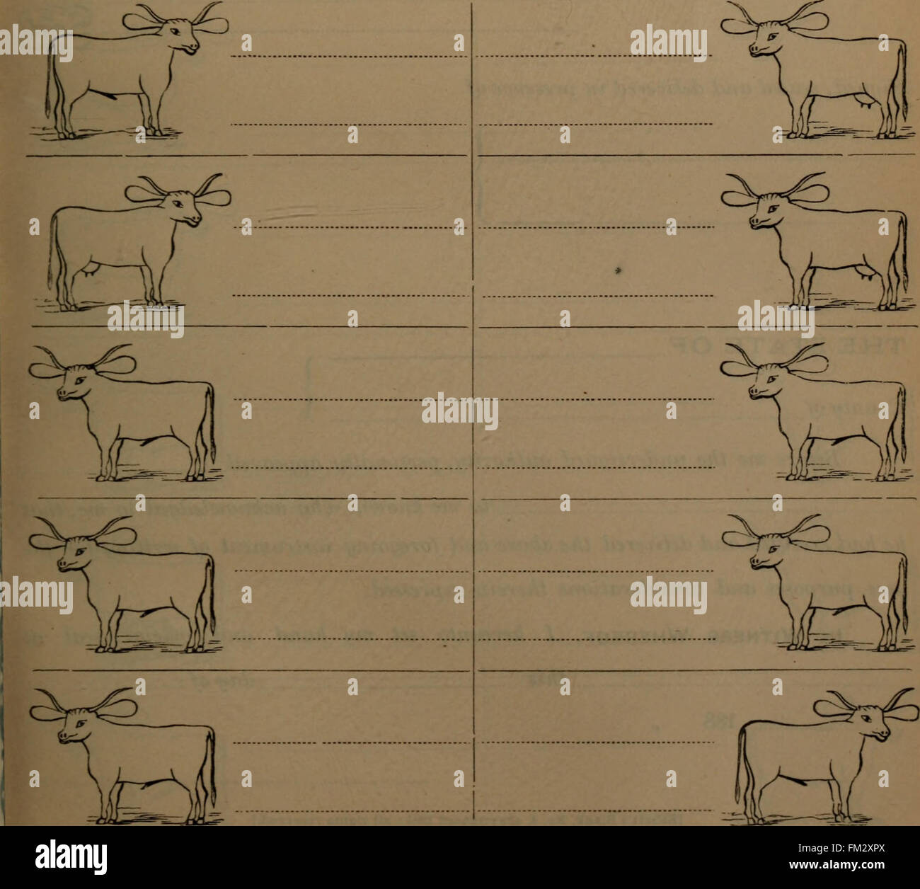 Questo libro presenta varie forme utilizzate in documenti legali, commerciali e altri documenti formali nel XIX secolo, offrendo una guida alla loro struttura e uso. Foto Stock