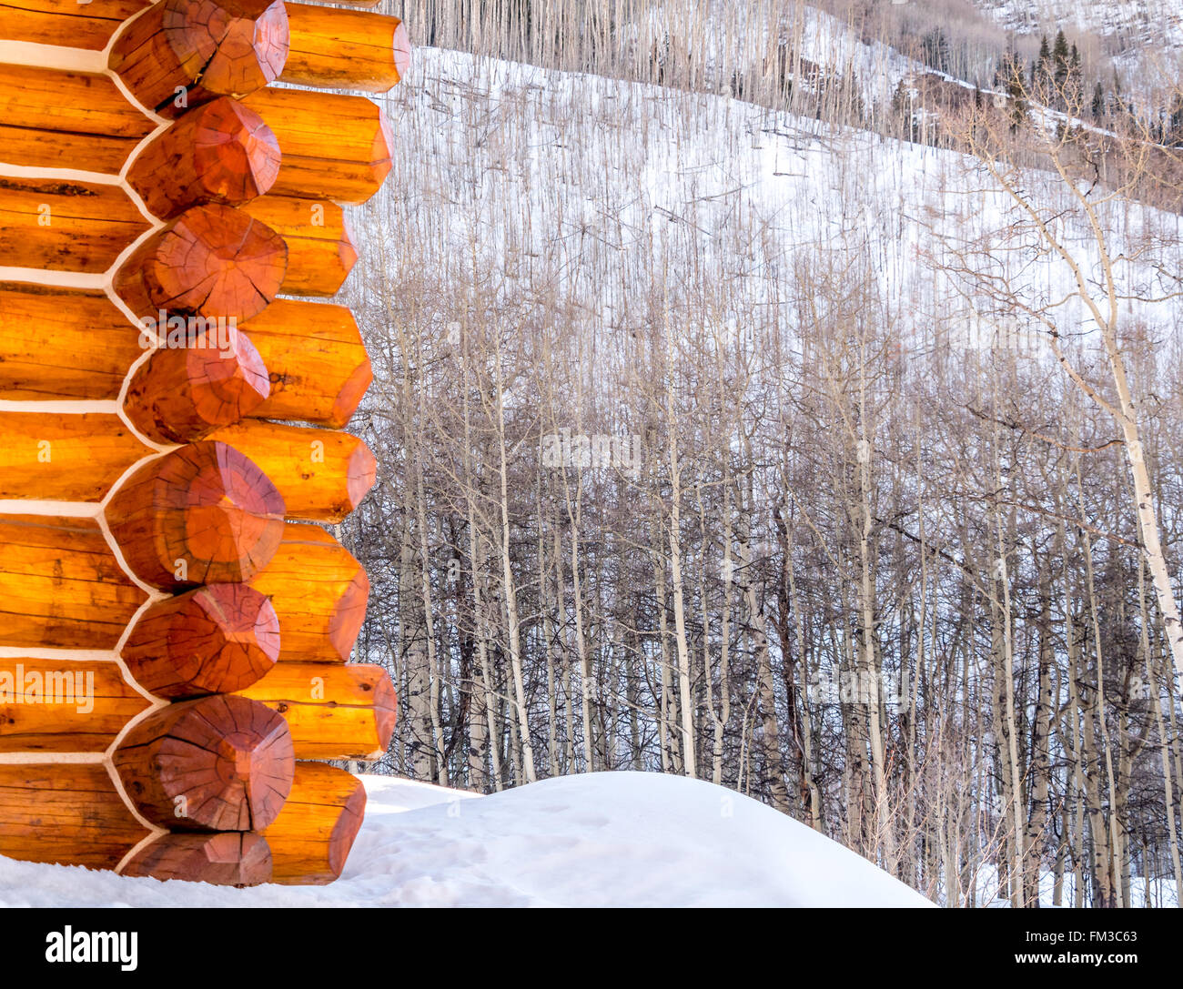 Angolo esterno di log cabin con aspens nella neve Foto Stock
