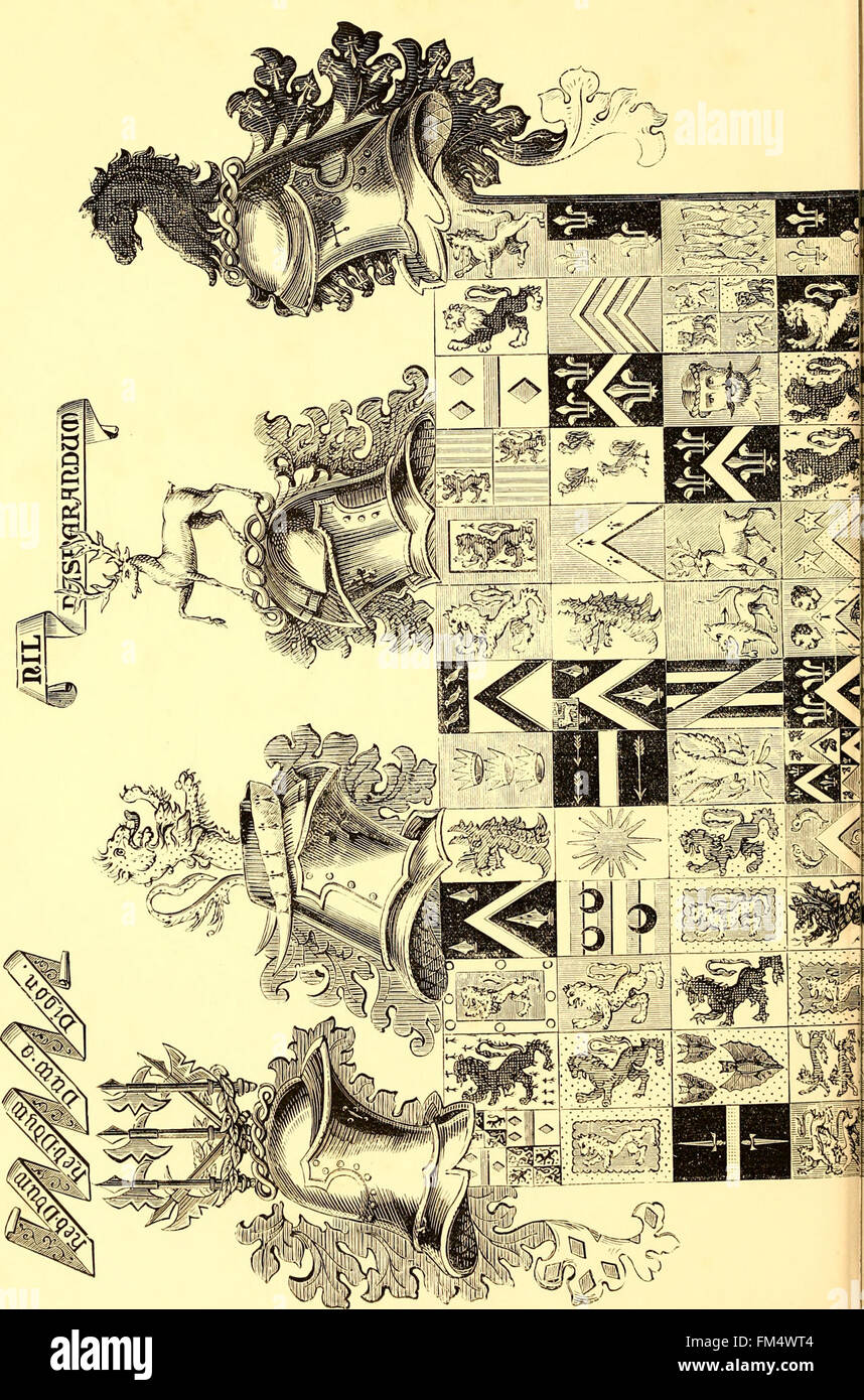 *Annali e Antichità delle contee e delle famiglie delle contee del Galles* (1872) offre un resoconto completo della nobiltà gallese, tra cui pedigree e genealogie di famiglie antiche ed estinte, contribuendo allo studio della storia e della genealogia gallese. Foto Stock