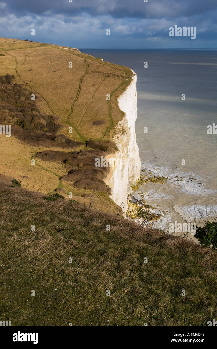 Le Bianche Scogliere di Dover, Kent Foto Stock