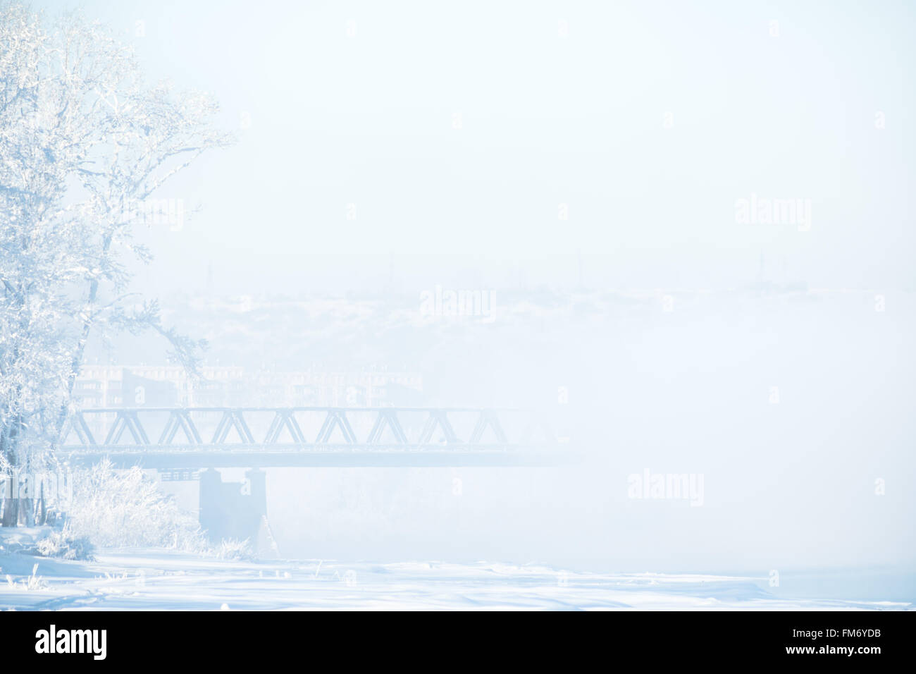Paesaggio invernale con coperte di neve alberi Foto Stock