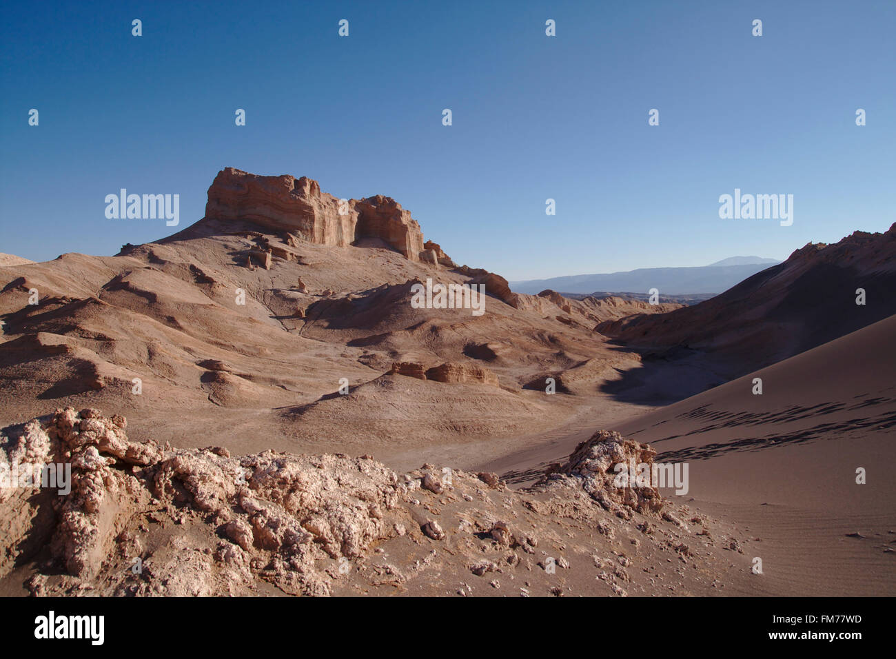 Valle de la Luna, la piegatura di evaporites mudstones e dalla tettonica salina, il Deserto di Atacama, Cile Foto Stock