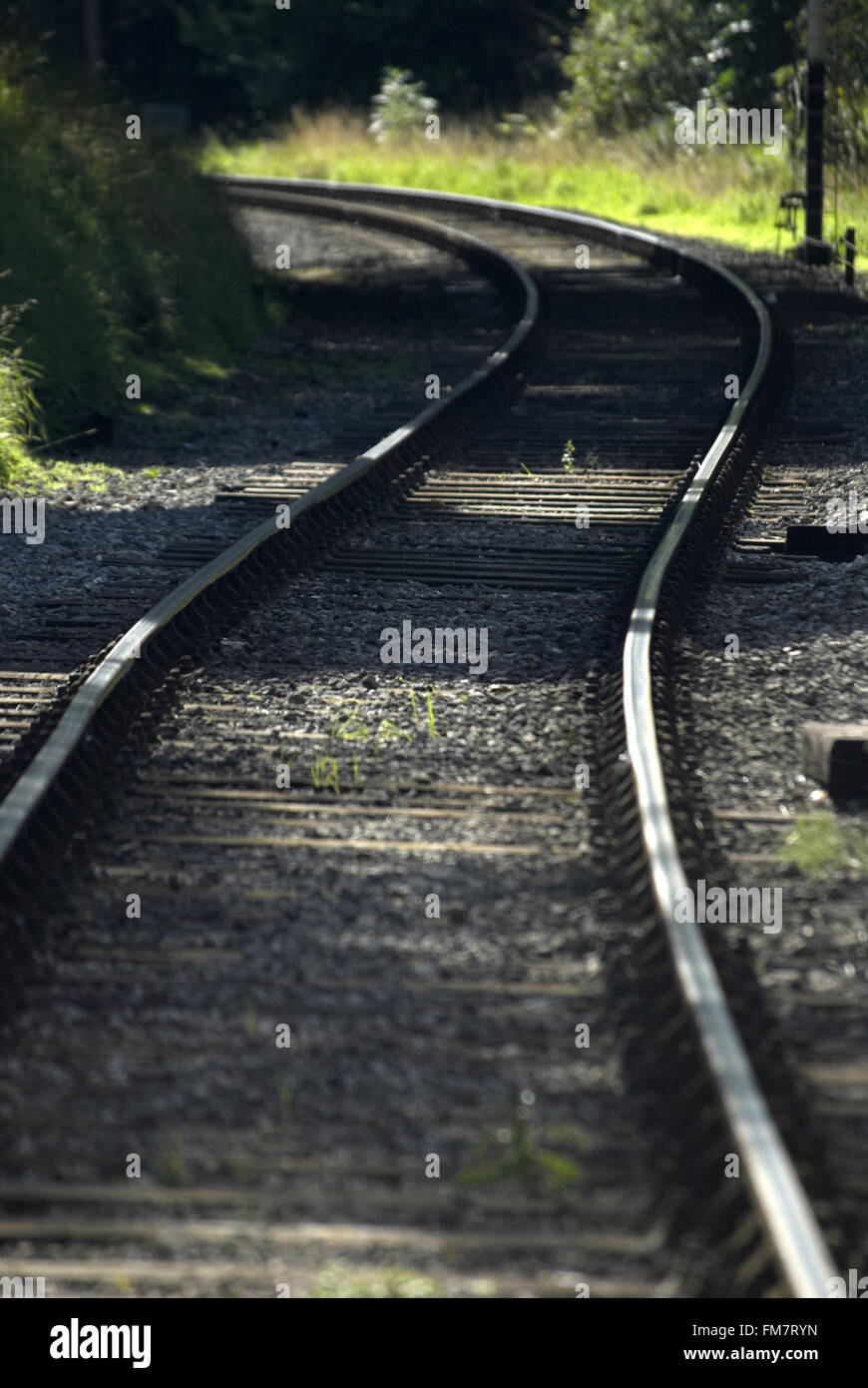 Binari del treno / convergenti linee ferroviarie Foto Stock