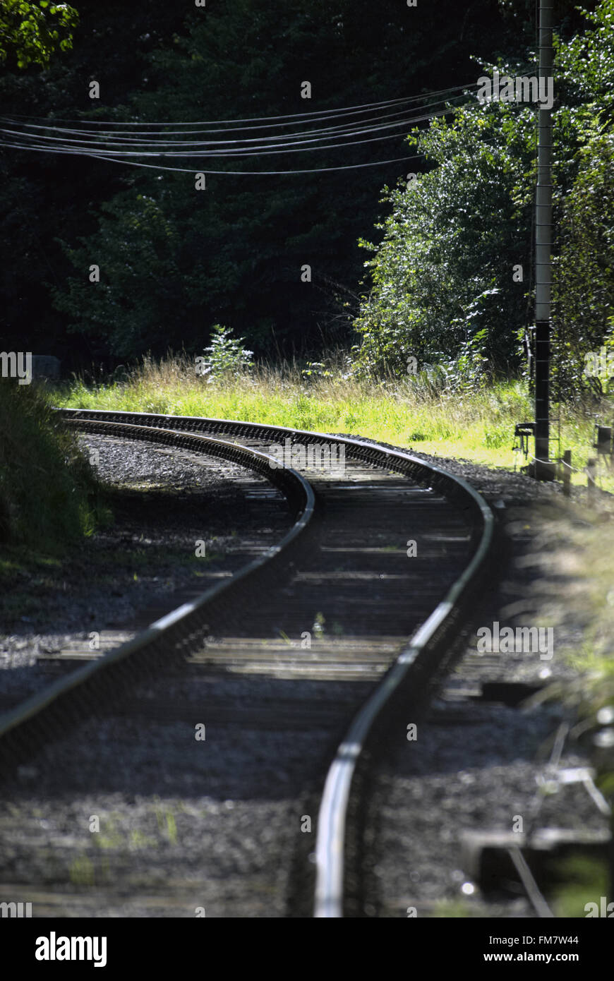 Binari del treno / convergenti linee ferroviarie Foto Stock