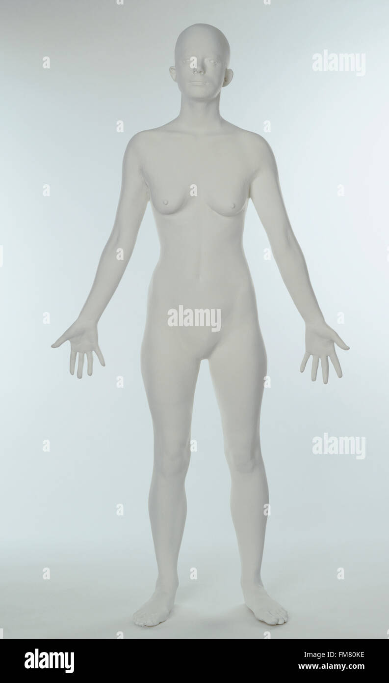 Modello di femmina del corpo umano, vista frontale Foto Stock