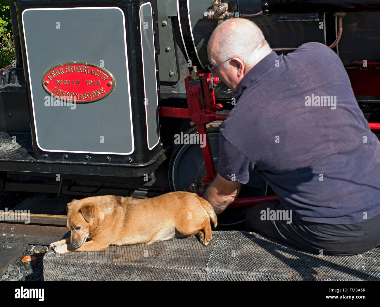 Appassionato di ferroviaria in Ponte del diavolo il Galles del Nord con il suo cane. Foto Stock