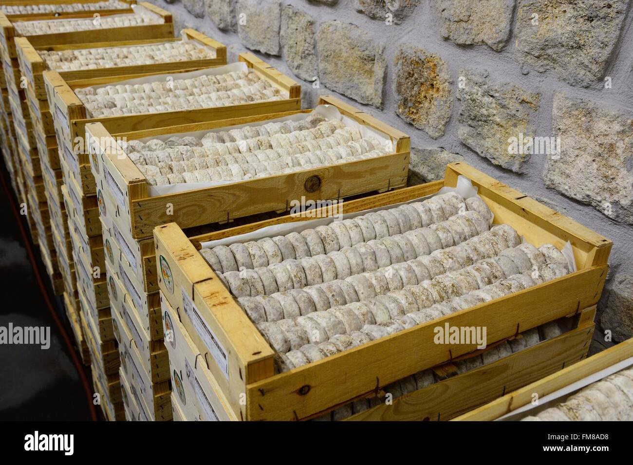 Francia, Ardeche, Planzolles, Peytot Terra Cabra, picodon, formaggio di capra Foto Stock