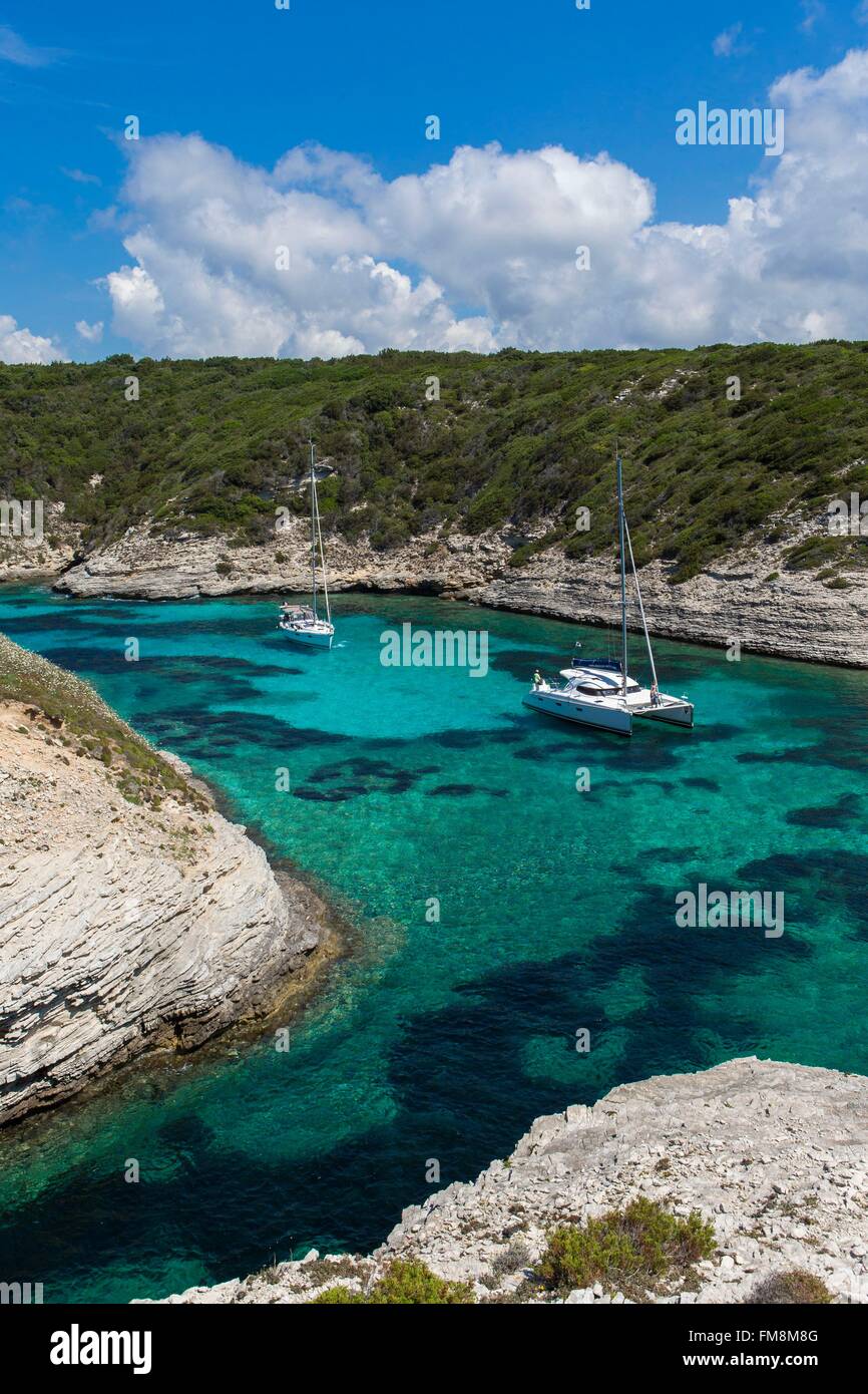 Francia, Corse du Sud, Bouches de Bonifacio, turisti in barca Foto Stock