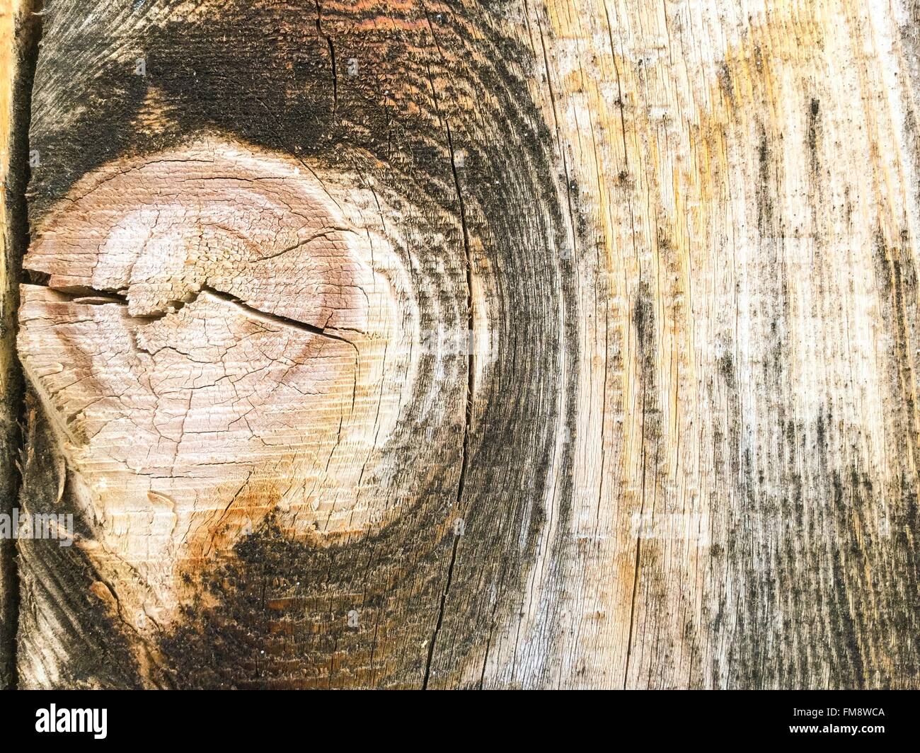 Weathered antica recinzione doga con nodo e a grana grossa. Legno invecchiato, rustico. Foto Stock