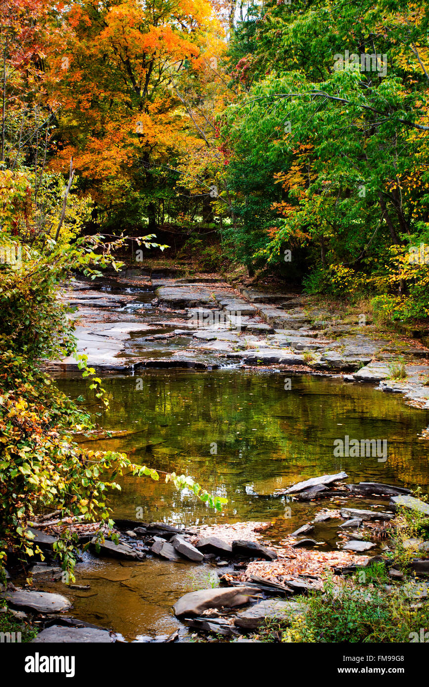Paesaggio fall creek con alberi colorati a dorchester park nel punto di Whitney broome county southern tier regione upstate new york, Stati Uniti d'America. Foto Stock