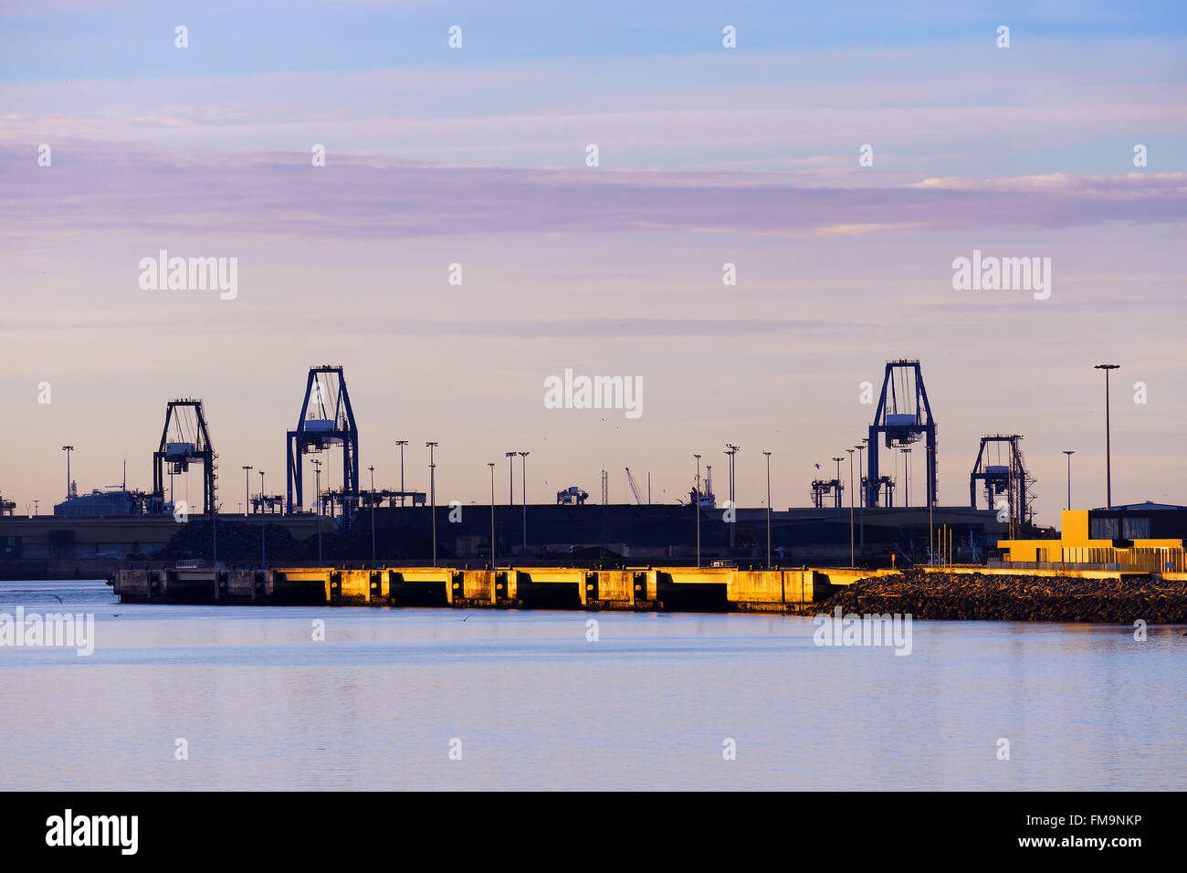 Paesaggio industriale con gru a Getxo al tramonto Foto Stock
