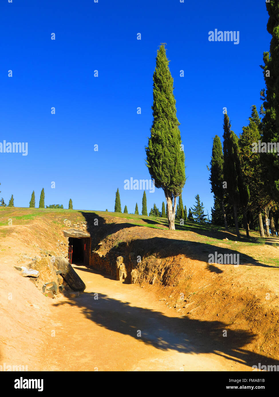 Gruppo di alti pini sul monte di sepoltura vicino a Antequera, Andalusia Foto Stock