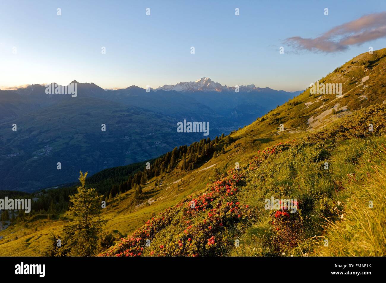 Francia, Savoie, Massif de la Vanoise, Haute Valle Tarentaise, Belle Plagne stazione con il Mont Blanc vista Foto Stock