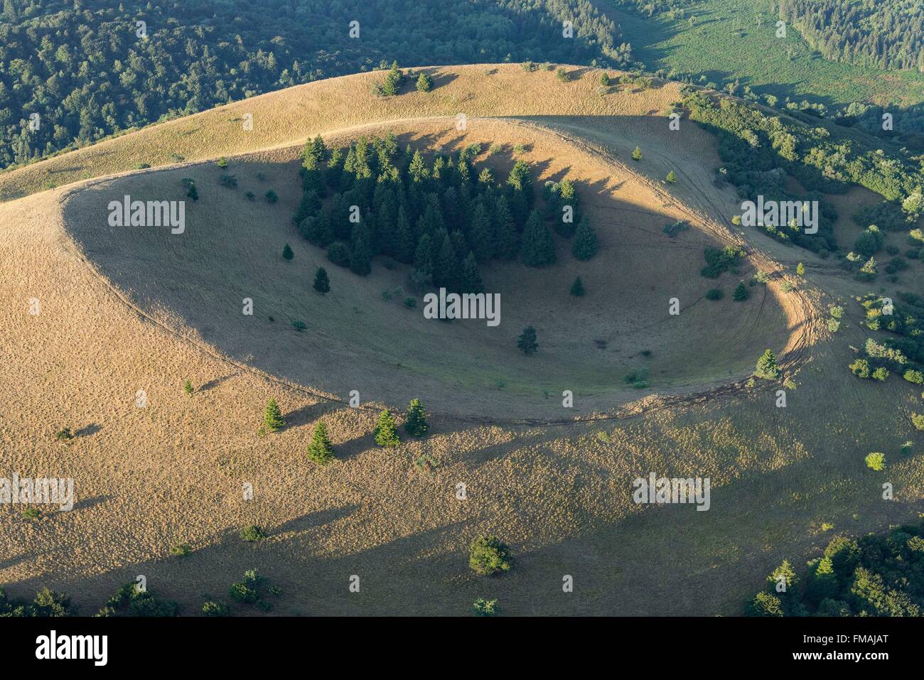 Francia, Puy de Dome, Ceyssat, Chaine des Puys, parco naturale regionale dei vulcani di Auvergne, Puy de Côme (vista aerea) Foto Stock