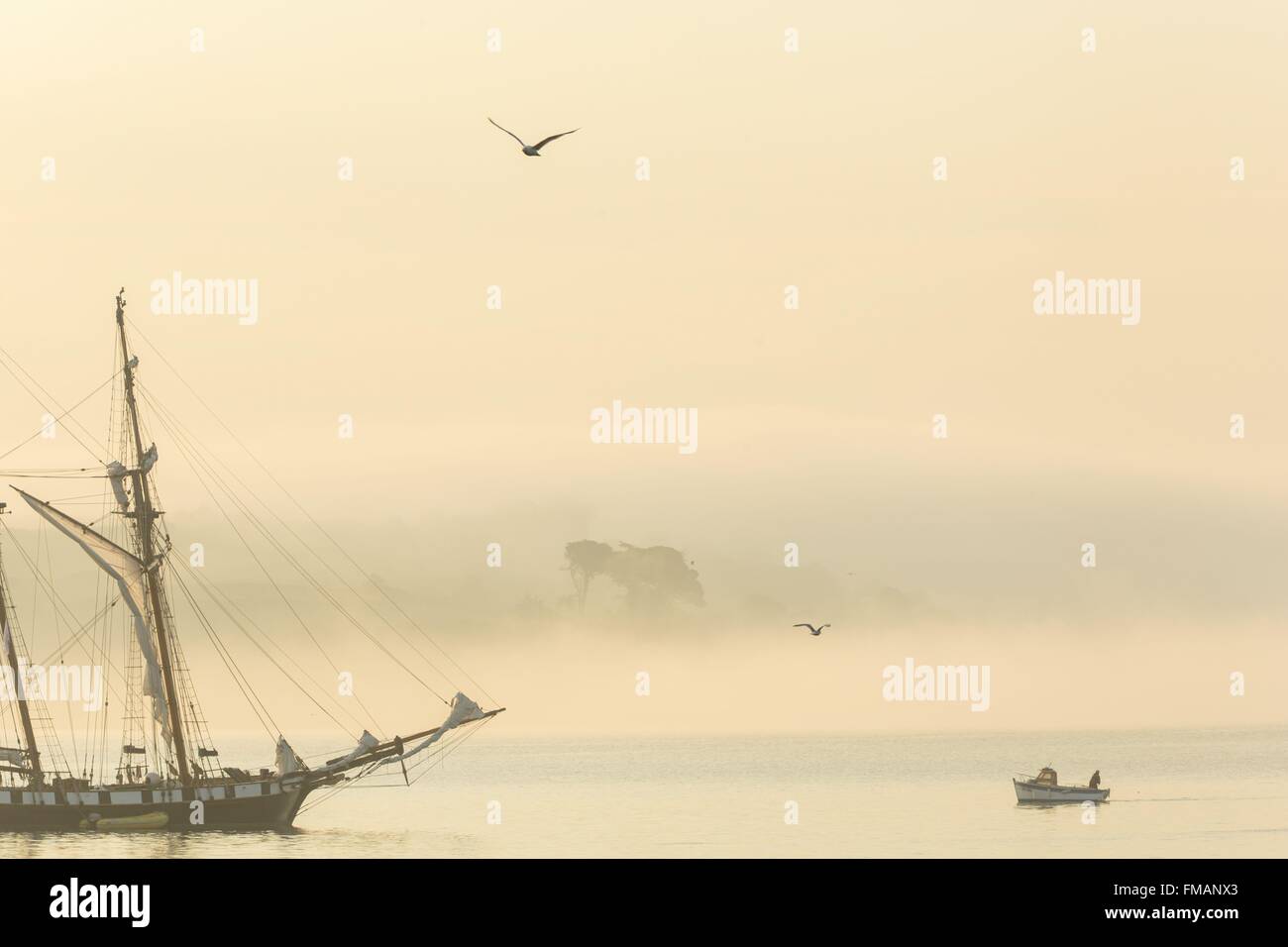 Francia, Finisterre, DOUARNENEZ, piccola pesca costiera imbarcazione di fronte ad un due-masted nave nella nebbia all'alba lungo la costa Foto Stock