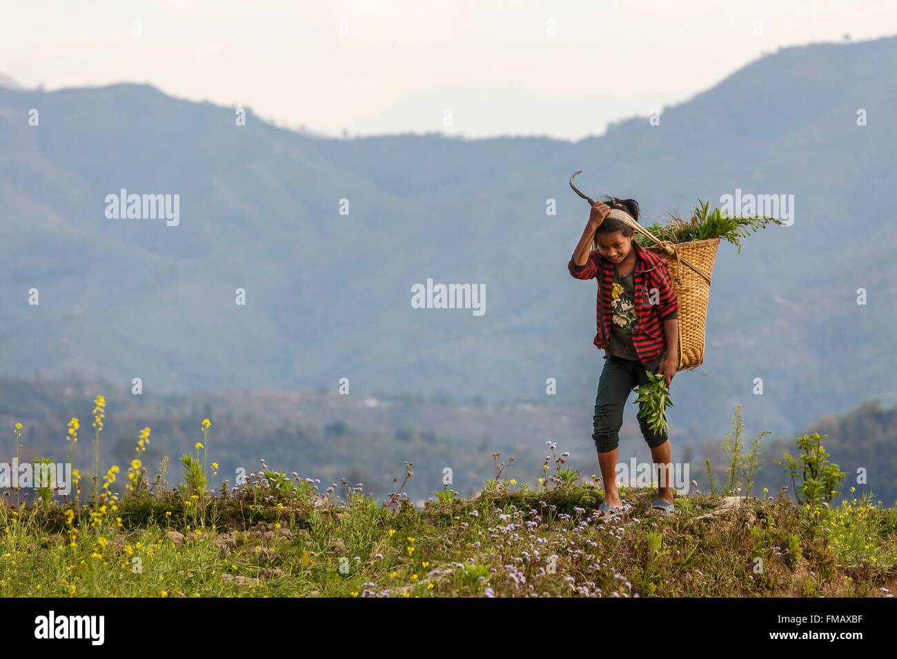 Il Nepal, Gandaki zona, Gorkha, una ragazza che trasportano un cestello Foto Stock