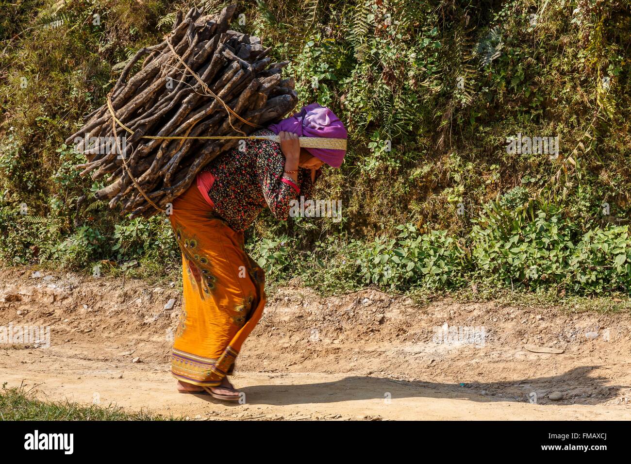 Il Nepal, Gandaki zona, Bandipur, una donna trasportare il legno Foto Stock