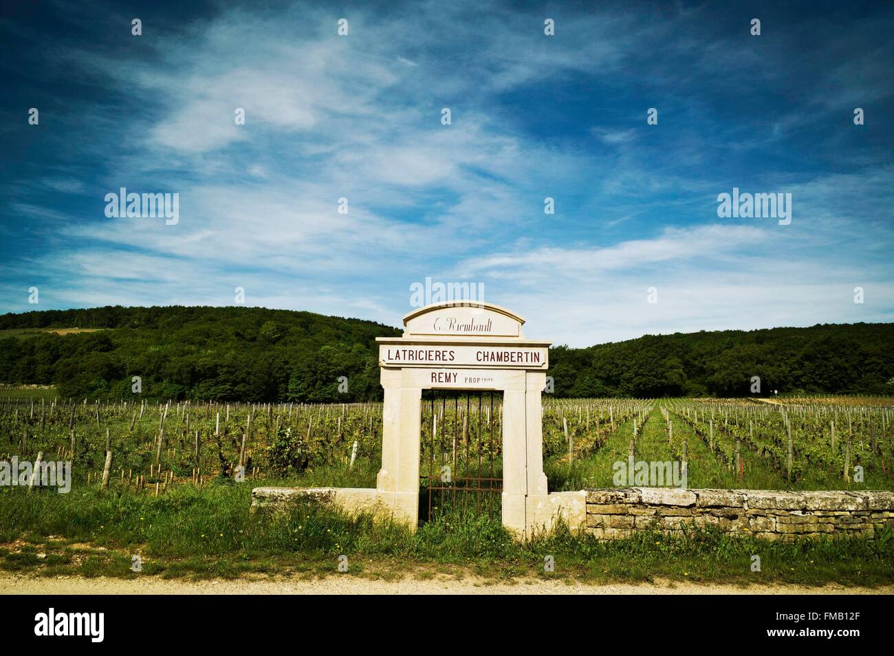 Francia, Cote d'Or, Gevrey Chambertin, il percorso turistico dei Grands Crus de Bourgogne, Climats, terroir di Borgogna elencati Foto Stock