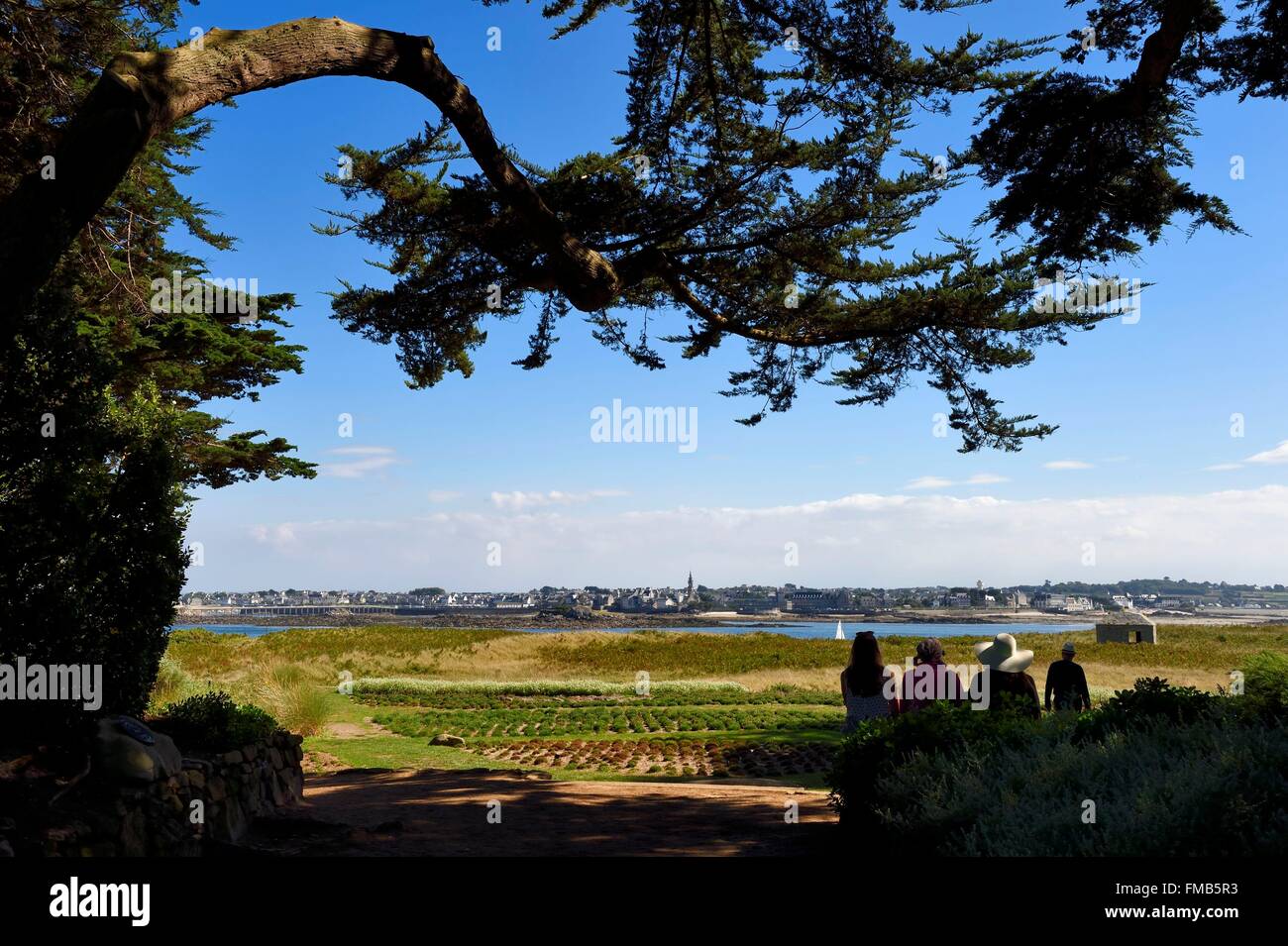 Francia, Finisterre, Ile de Batz, Georges Delaselle Garden o giardino coloniale, un giardino esotico con un botanico unico Foto Stock