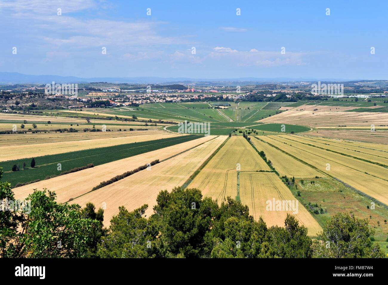 Francia, Herault, lo stagno di Montady è un ex stagno prosciugato nel Medioevo che è situato ai piedi dell'Oppidum Foto Stock