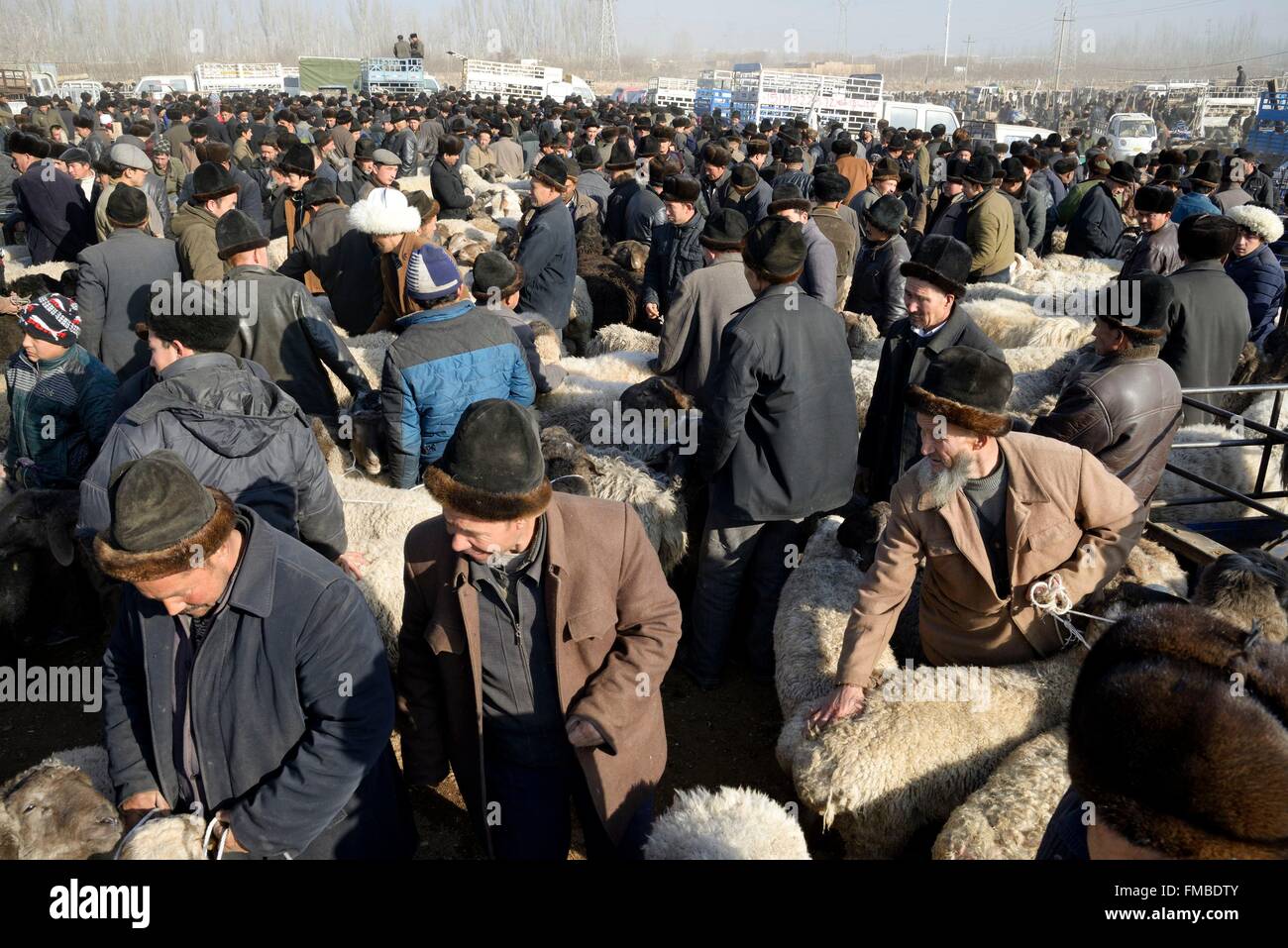Cina, Xinjiang Uyghur Regione autonoma, Kashgar (Kashi), domenica Mercato del Bestiame Foto Stock