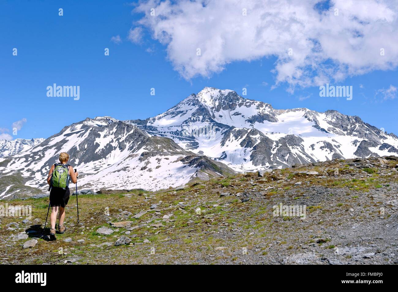 Francia, Savoie, Vanoise, La Plagne, che si affaccia sul Ghiacciaio di Bellecote da la Roche de Mio (2700m) Foto Stock